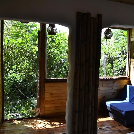 Habitacion Las Bromelias, Pijao, Finca Flora Del Rio エクステリア 写真