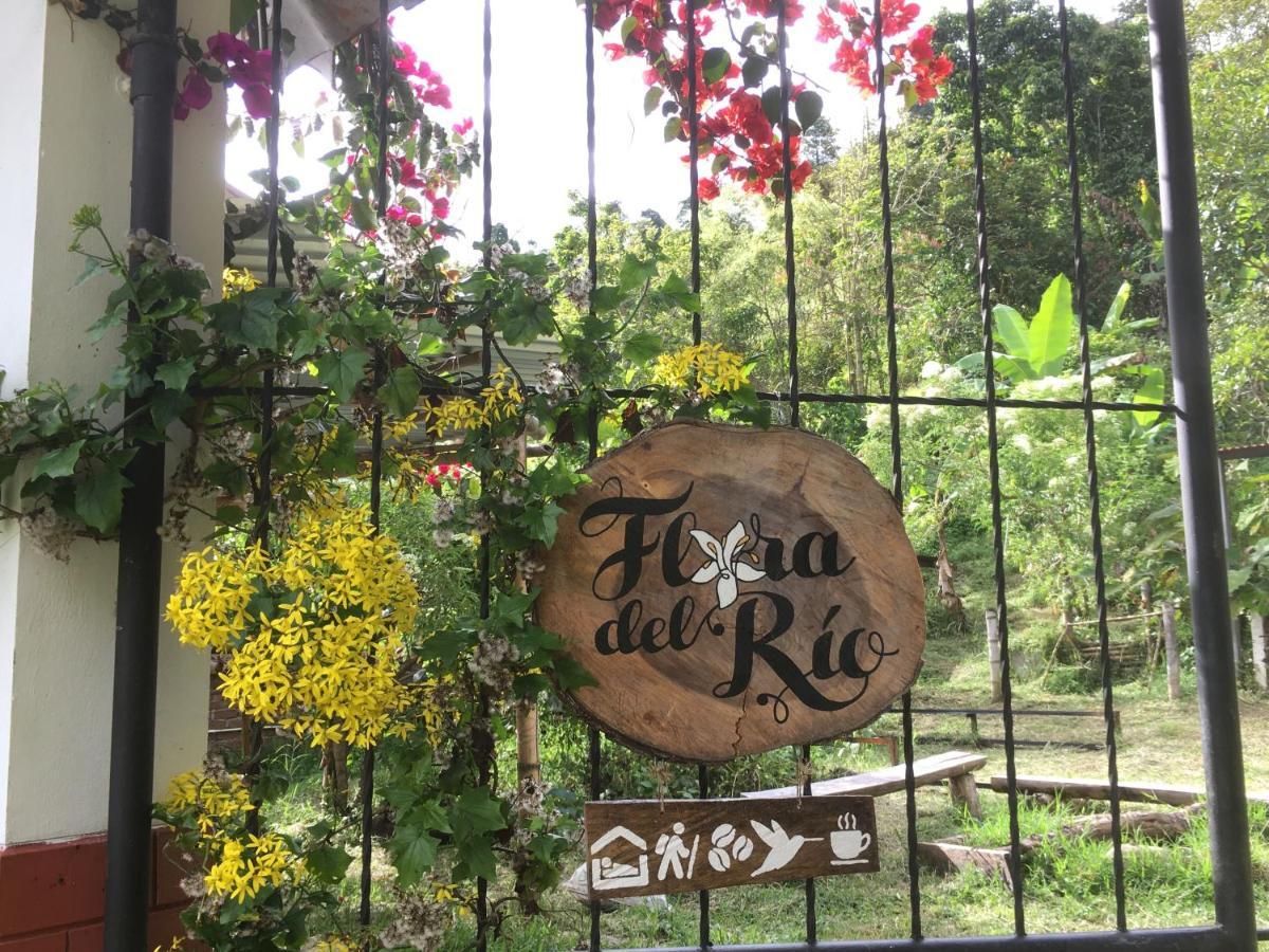Habitacion Las Bromelias, Pijao, Finca Flora Del Rio エクステリア 写真