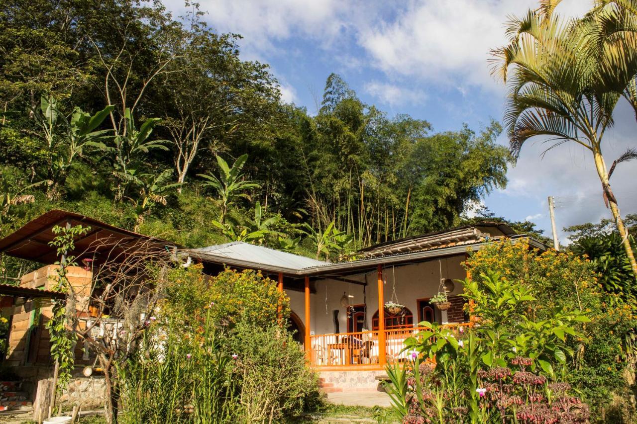 Habitacion Las Bromelias, Pijao, Finca Flora Del Rio エクステリア 写真